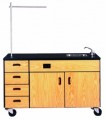 Mobile 1000 Series Science Mobile 1094 Ironwood Manufacturing
