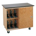 Microscope Storage Cabinet w/ Plastic Laminate Top