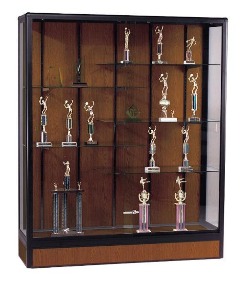 Trophy Display Case - Photos & Ideas